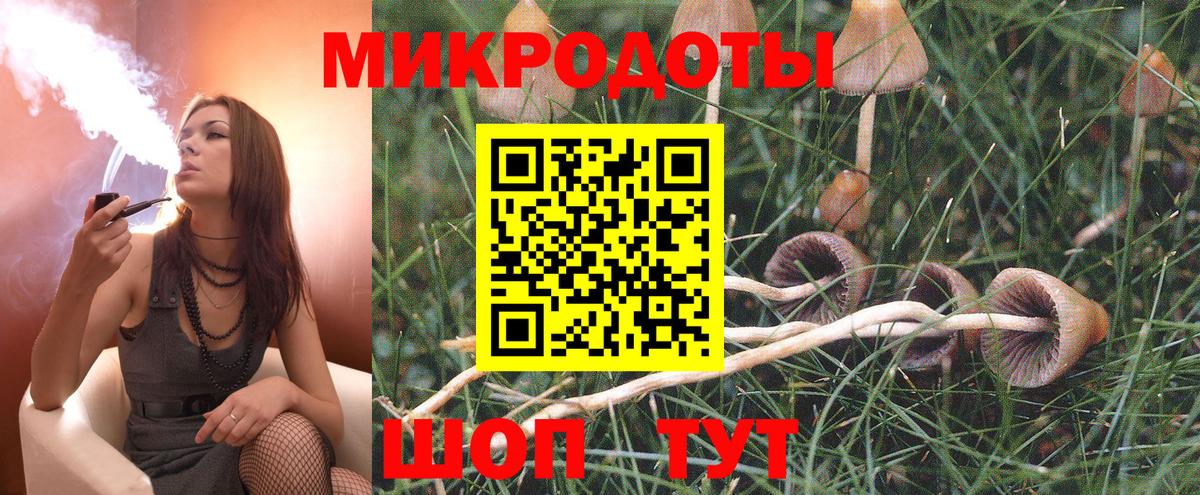 Галлюциногенные грибы MAGIC MUSHROOMS  Вход с VPN  Минусинск  Псилоцибиновые грибы GOLDEN TEACHER 
